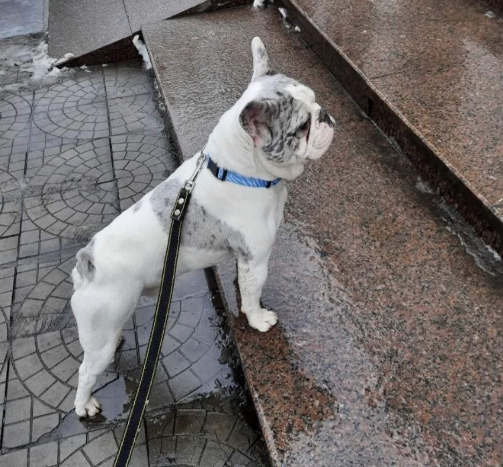Молодий гарячий.