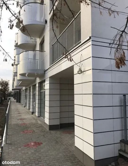 Lokal U721 - bezpośrednio/ WYNAJMIJ lub KUP