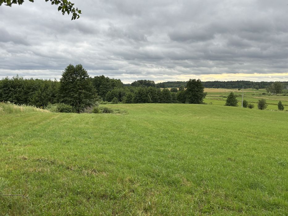 Działka 3,93 ha idealna ekspozycja do zamieszkania