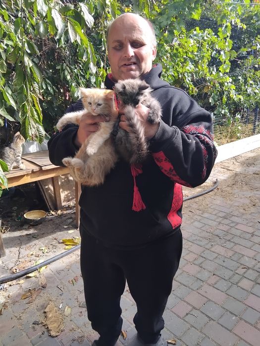 Продам котят. 2 мальчика.2,5 месяца. Цена 500 гр