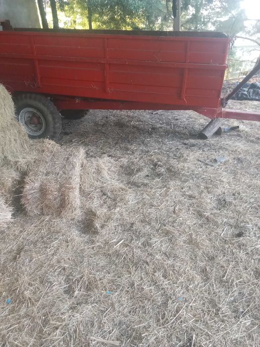 Reboque espalhador de estrume