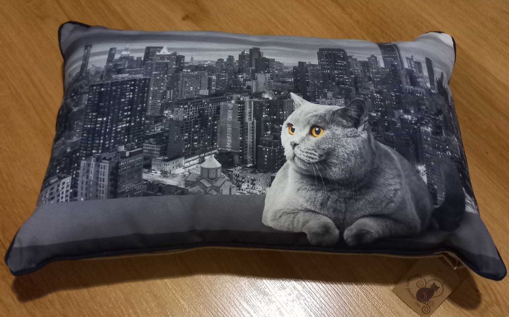 Almofada do Gato Preto