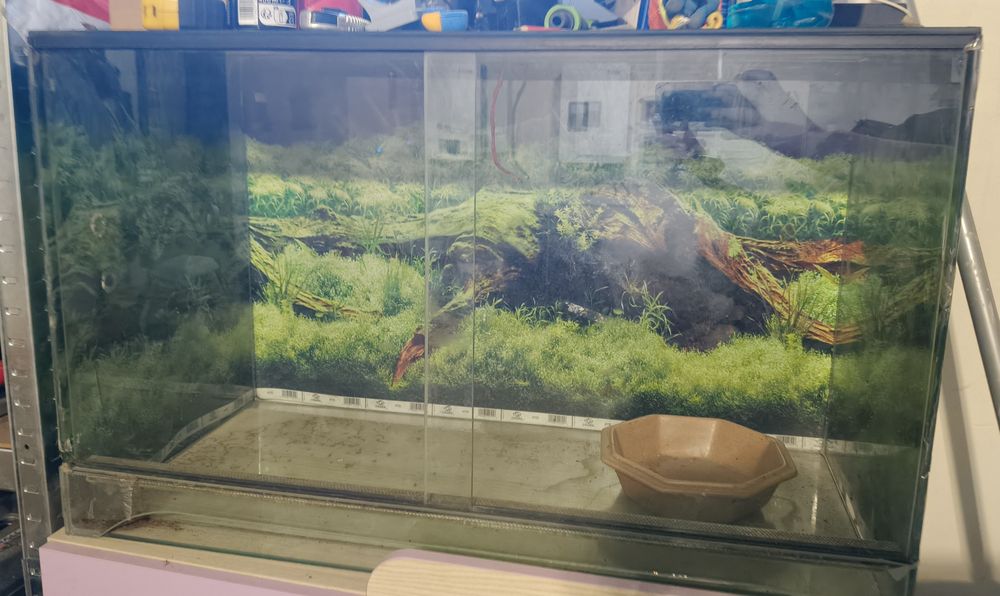 Terrarium dla węża