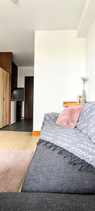 Mikrokawalerka  -  Felicity  -  od 01 11 25r