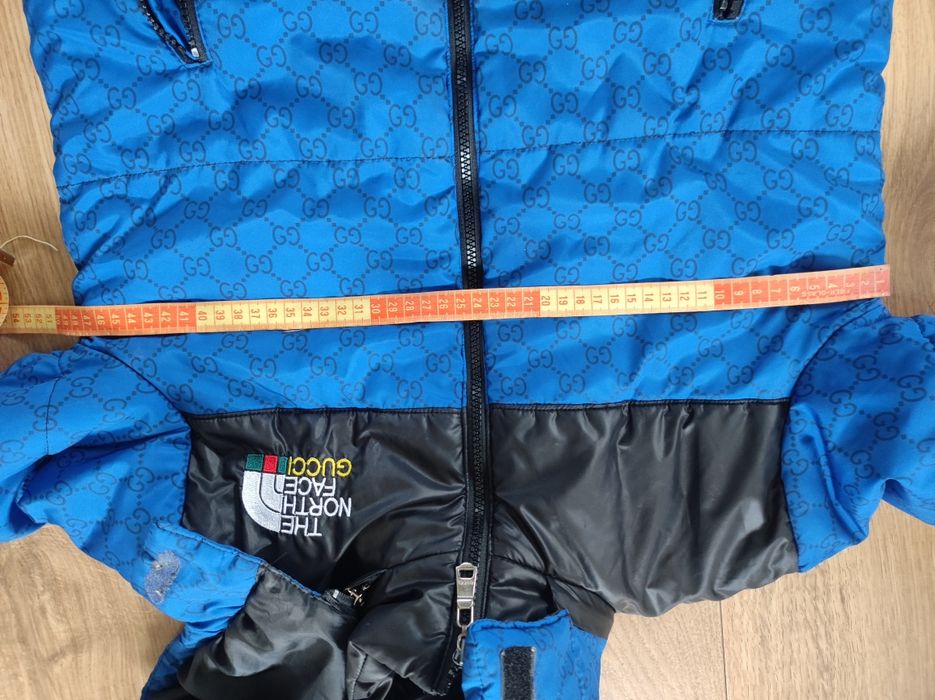 Kurtka The North Face Gucci