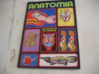 Caderneta completa : Anatomia