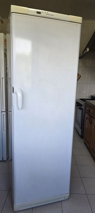 Arca frigorífica vertical electrolux