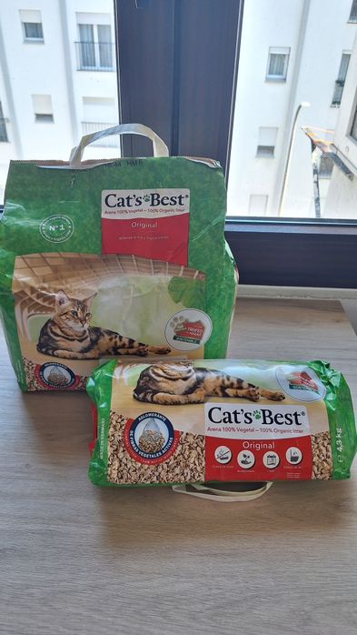 Areia Cat's Best