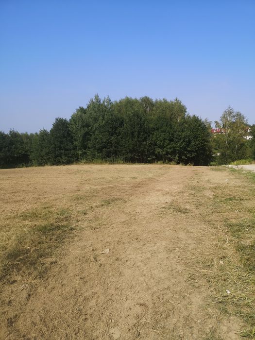 Czyszczenie dzialek mulczer leśny frezowanie pni likwidacja zakrzaczen