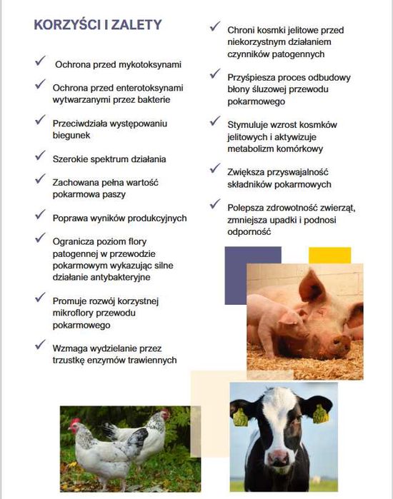 Preparat na mykotoksyny w pasze – MYKO, LIRA/ 25kg