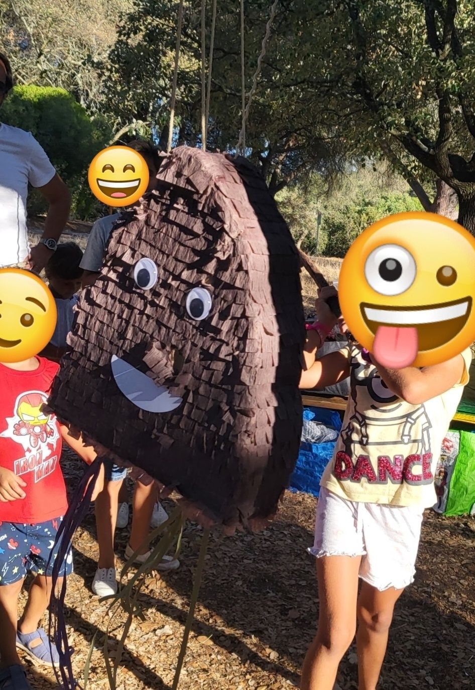 Pinhata emoji coco para festas