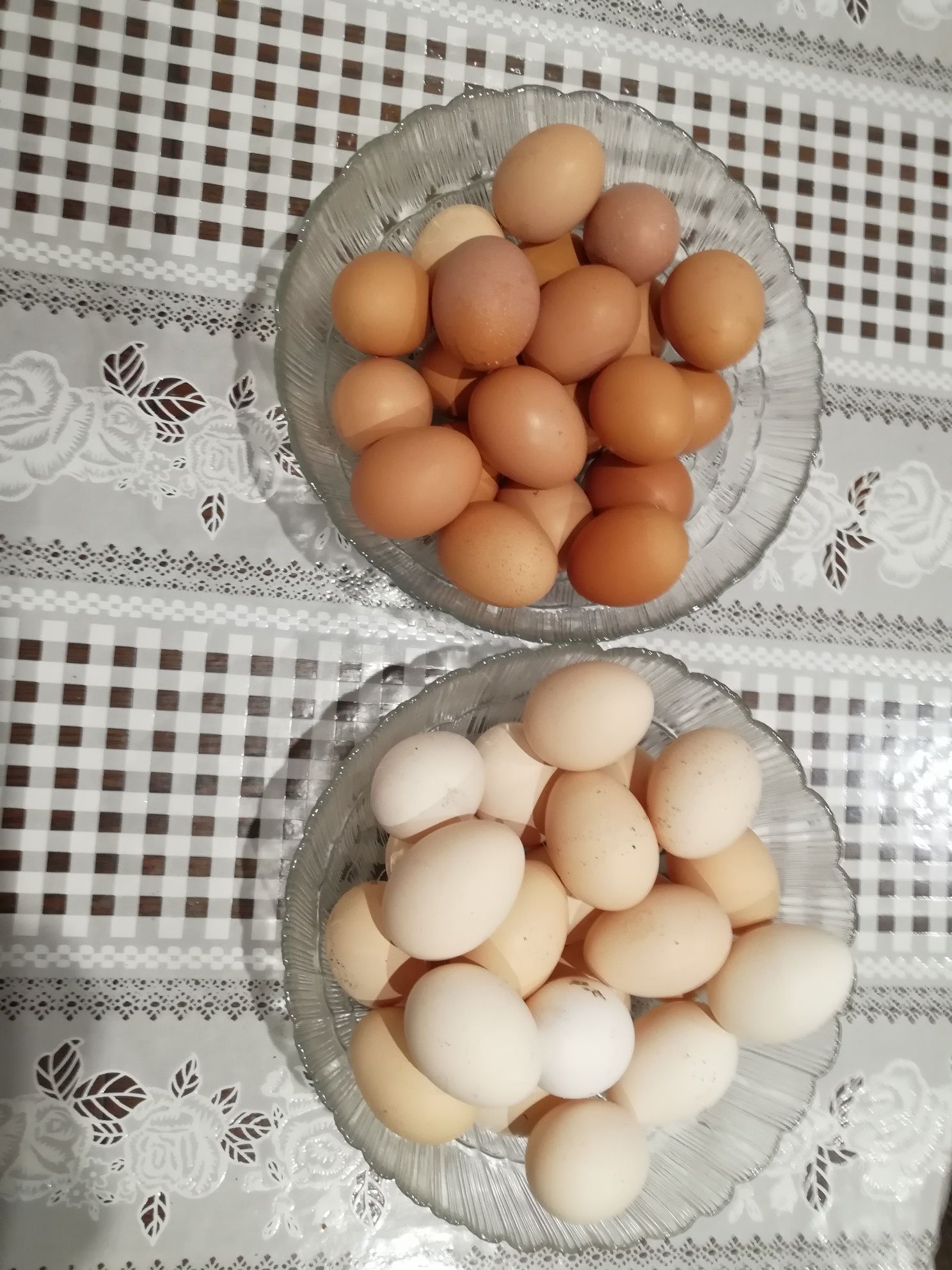 Домашнее свежее яйцо