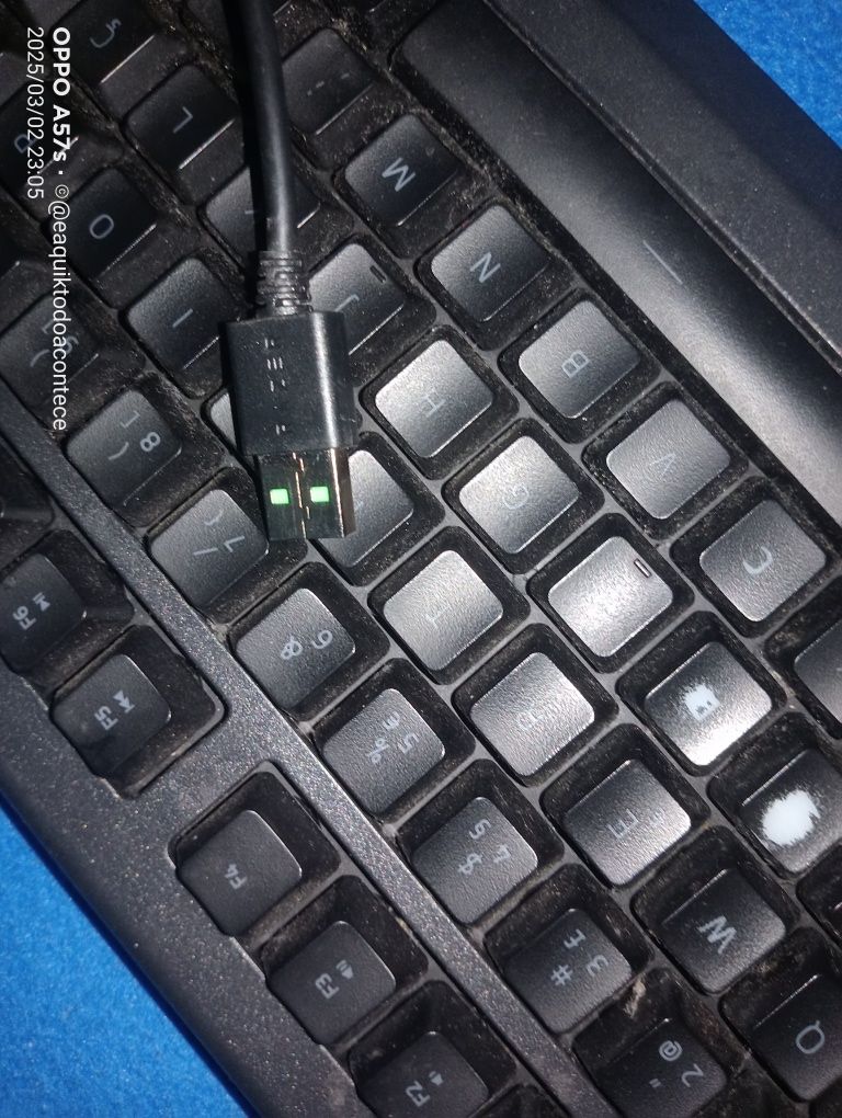 Teclados / 1_ razer a funcionar normalmente