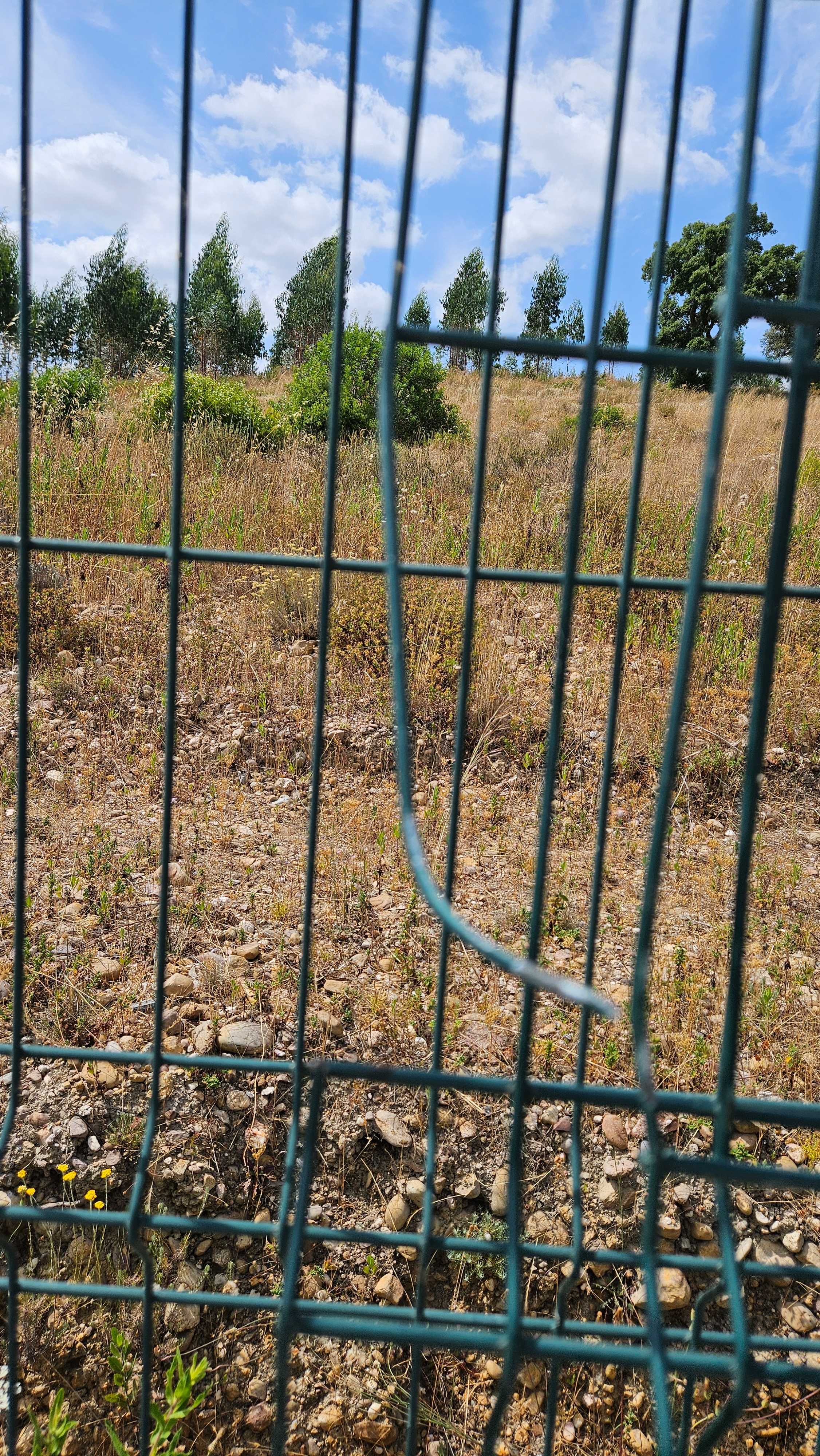 2 Panéis metálicos para vedação, 2,00m x 2,50m, verde, usados