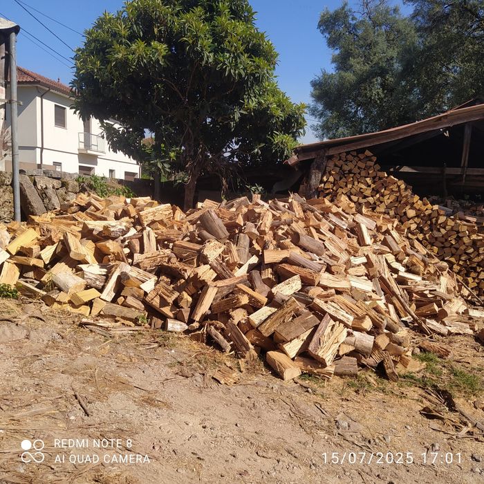 Lenha seca da melhor qualidade