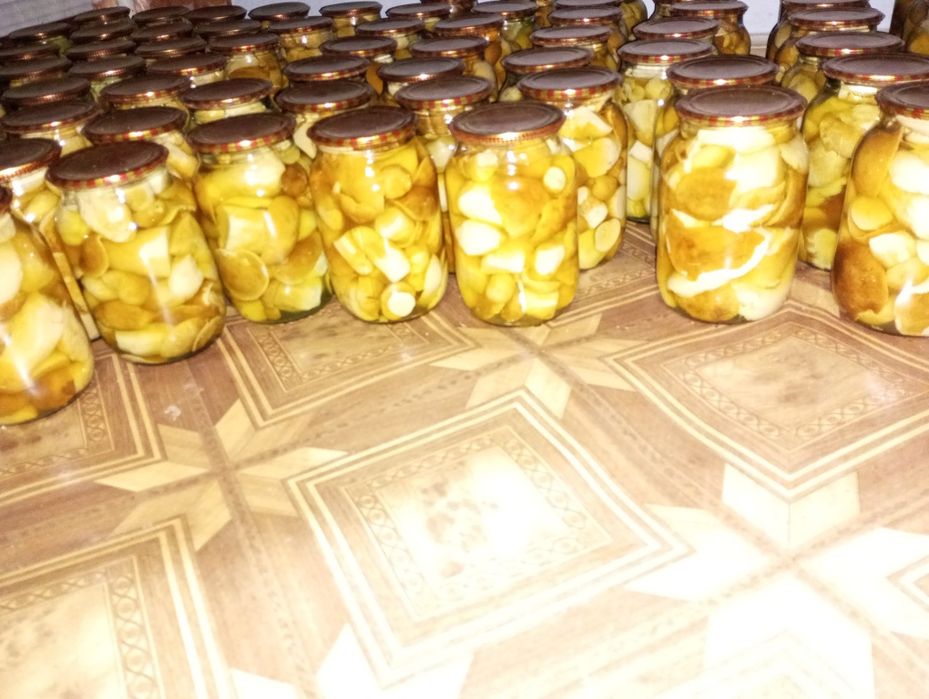 ПродамГриби, збирані 2025 року !!