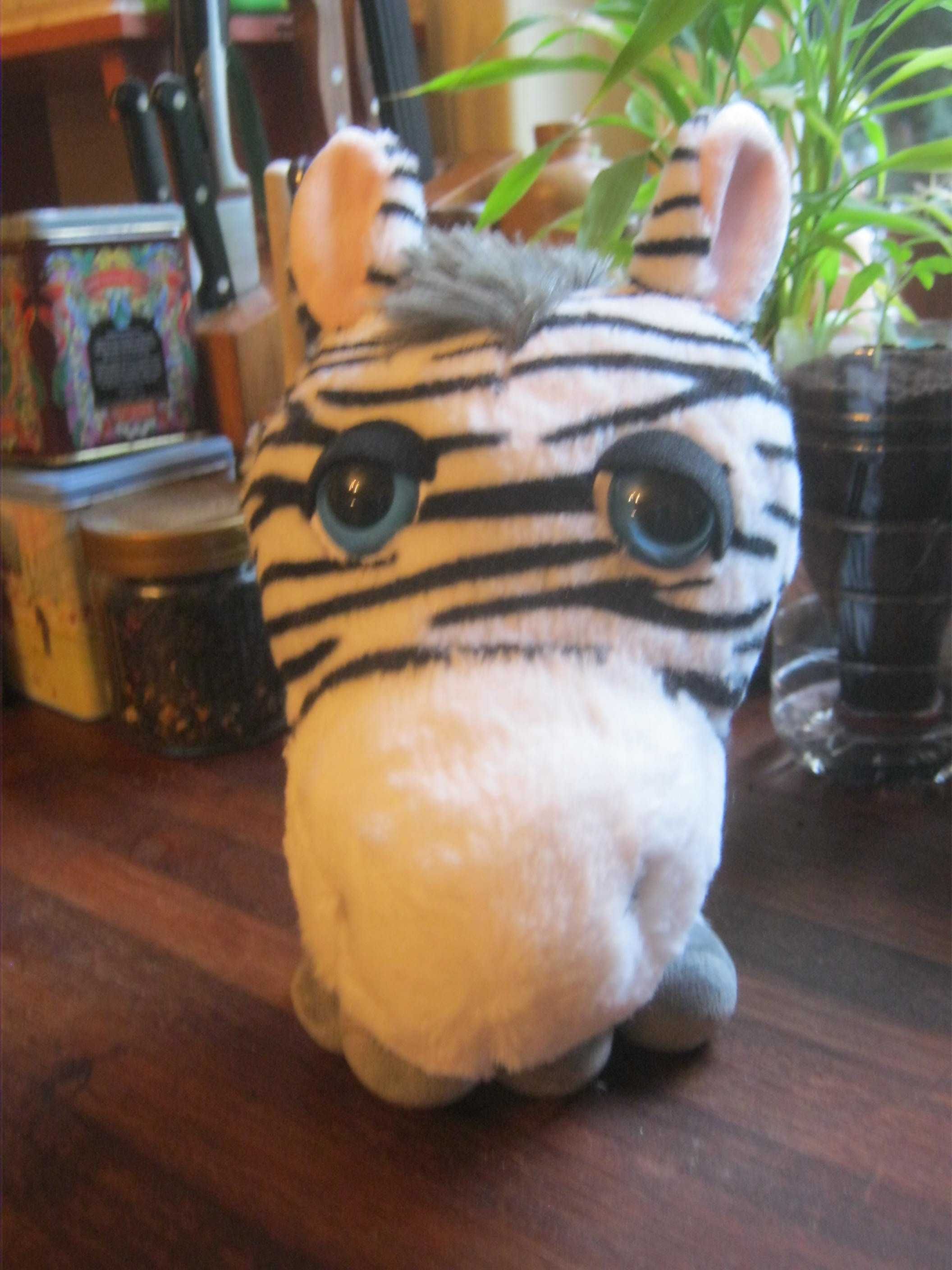 Zebra Big Headz Around the World