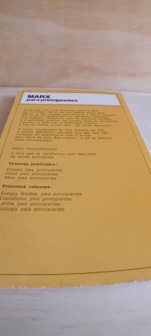 Marx para principiantes