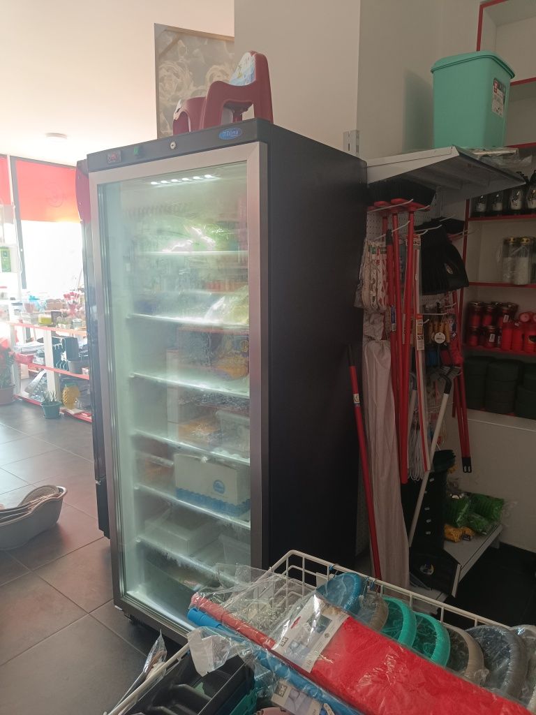 Arca congeladora