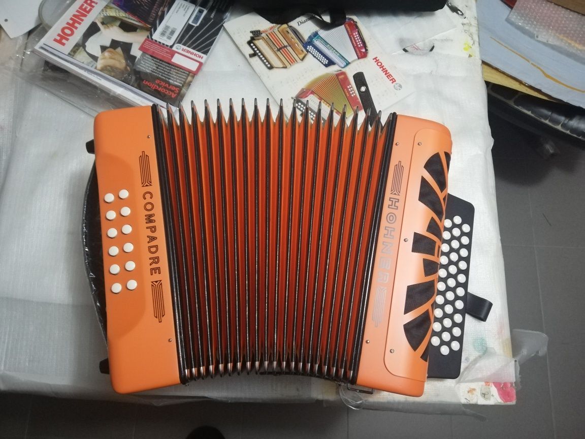 Concertina de 2 vozes. Hohner