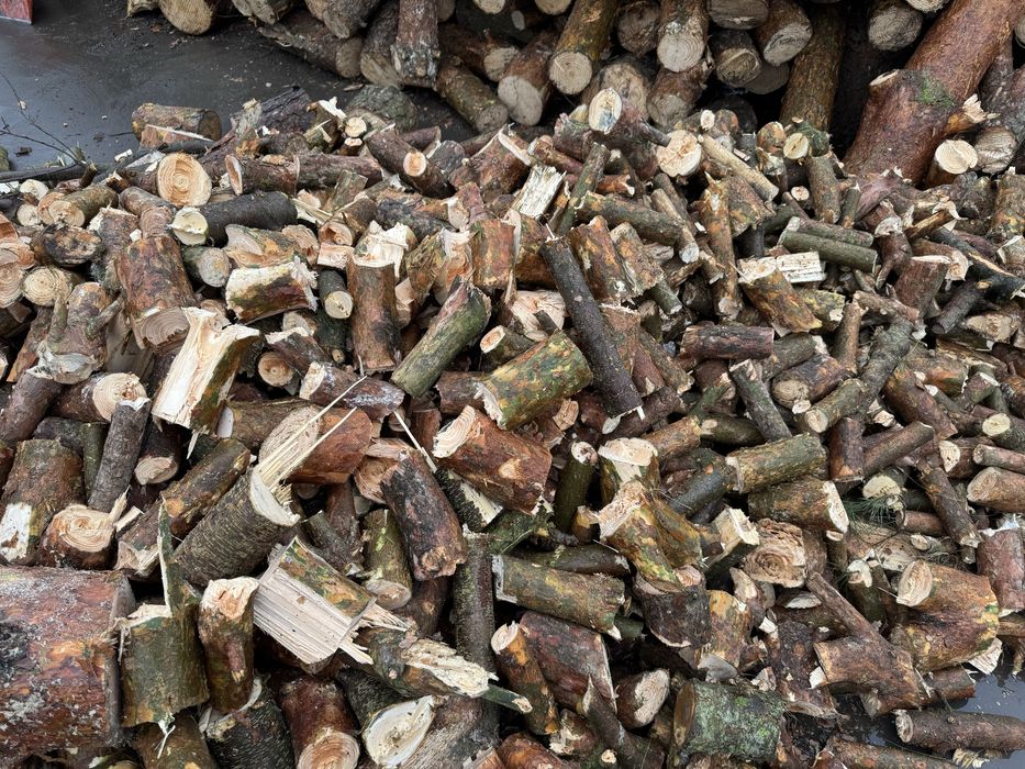 Drewno opałowe - iglaste i lisciaste - POCIĘTE lub metry