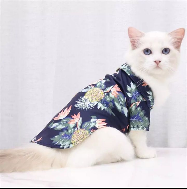 Roupas para cão e gato pequeno