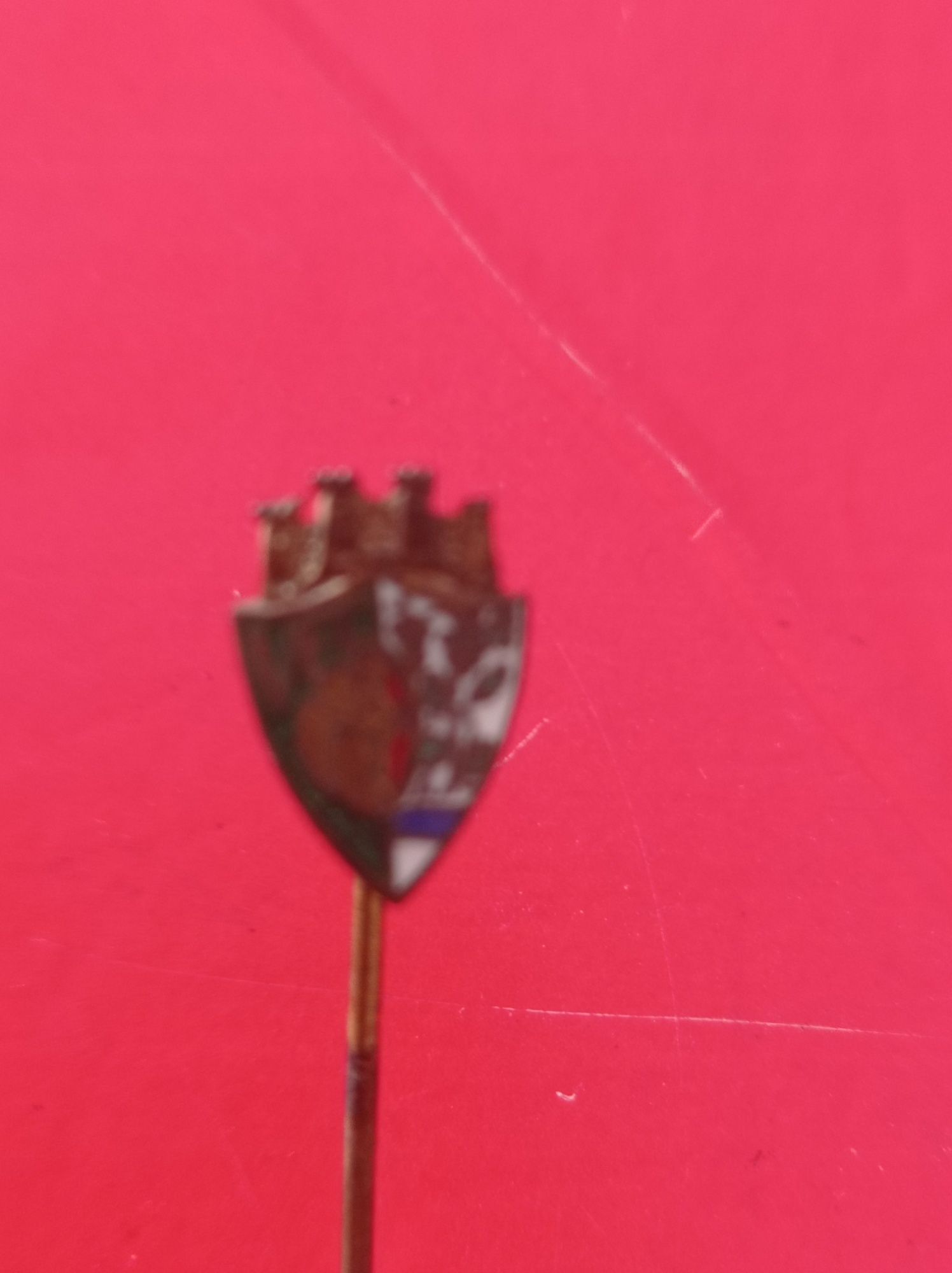 Pins ou alfinete