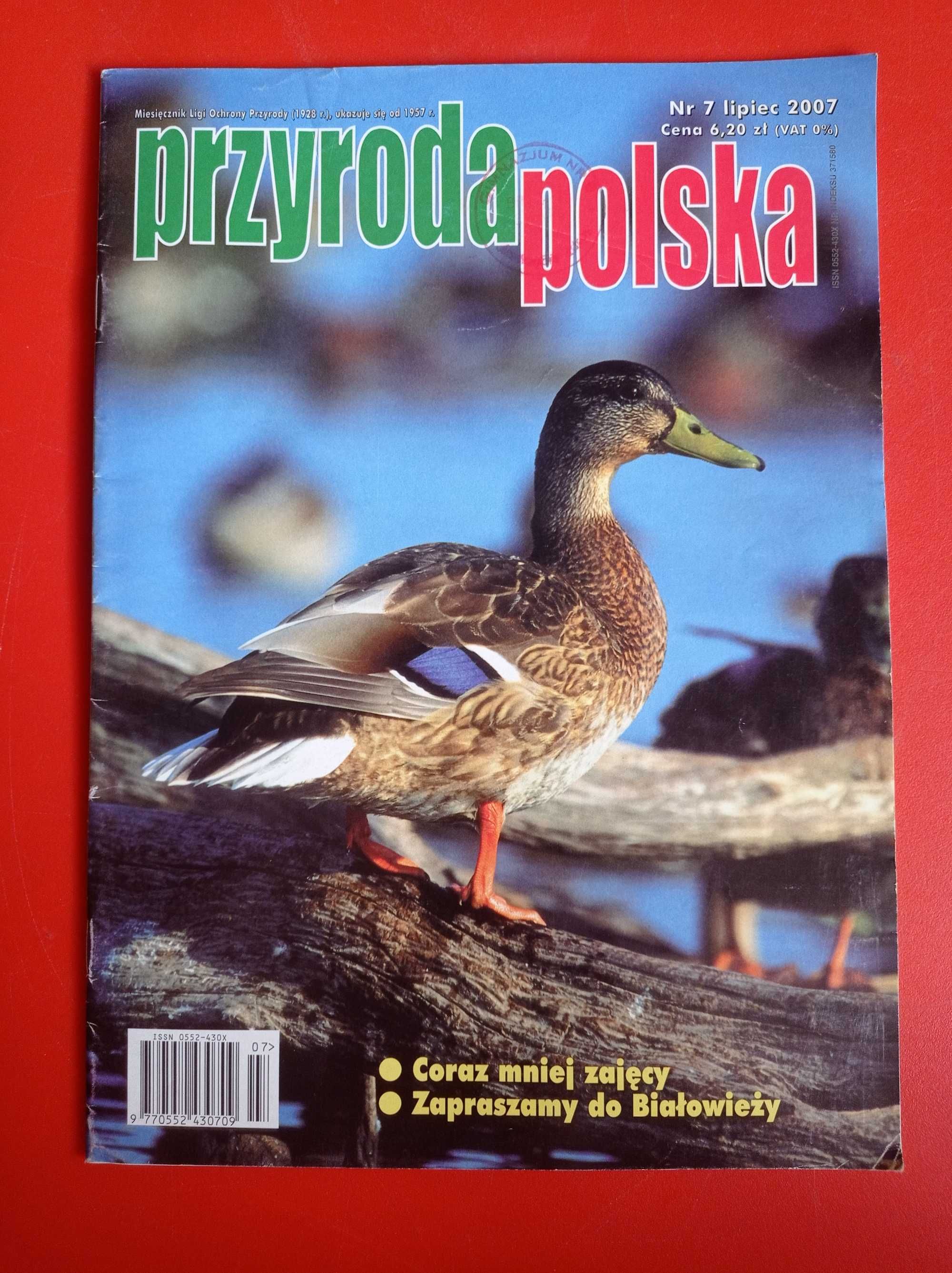 Przyroda polska nr 7/2007, lipiec 2007, bez dodatków