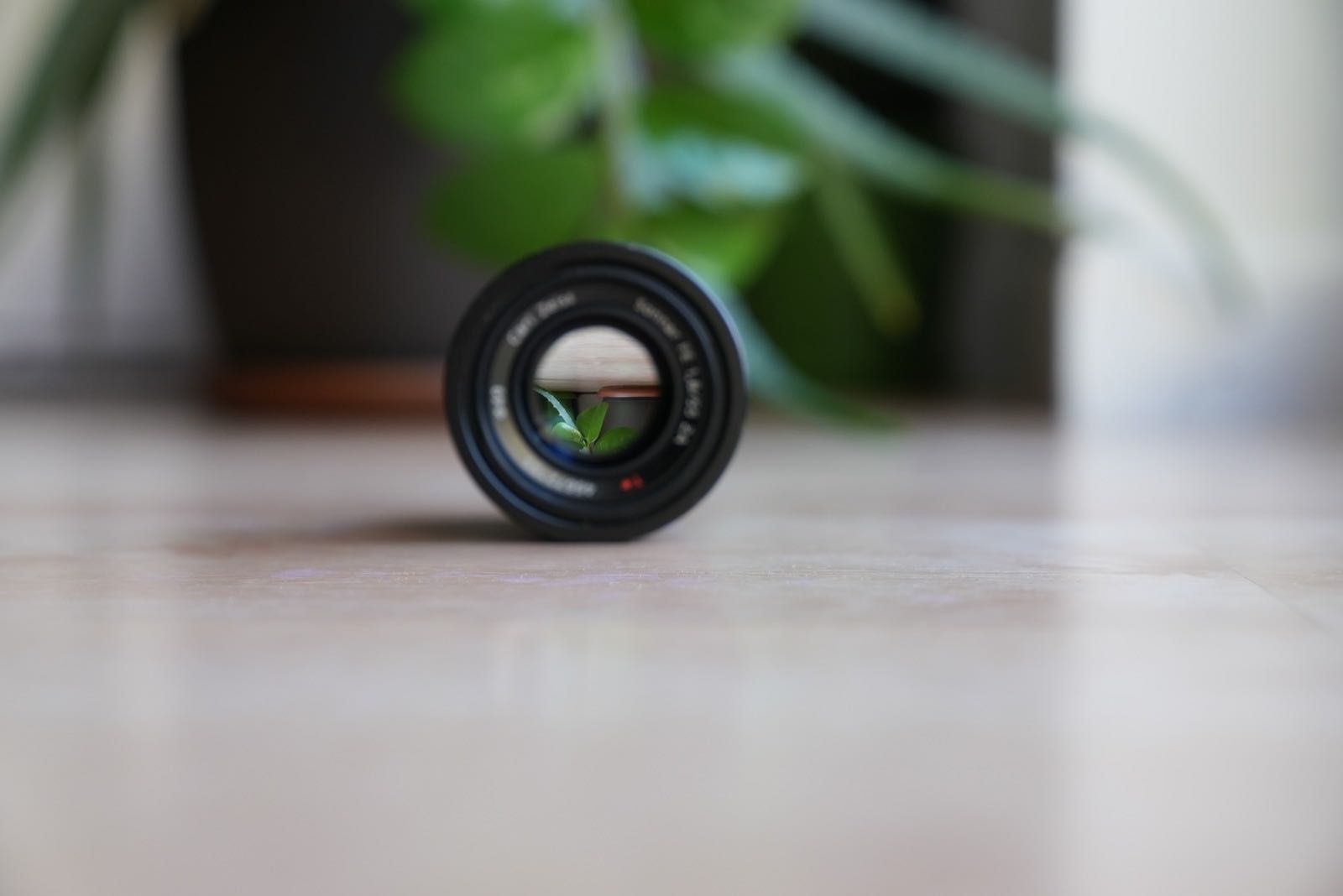 Sony zeiss 55mm 1.8 - sony mount