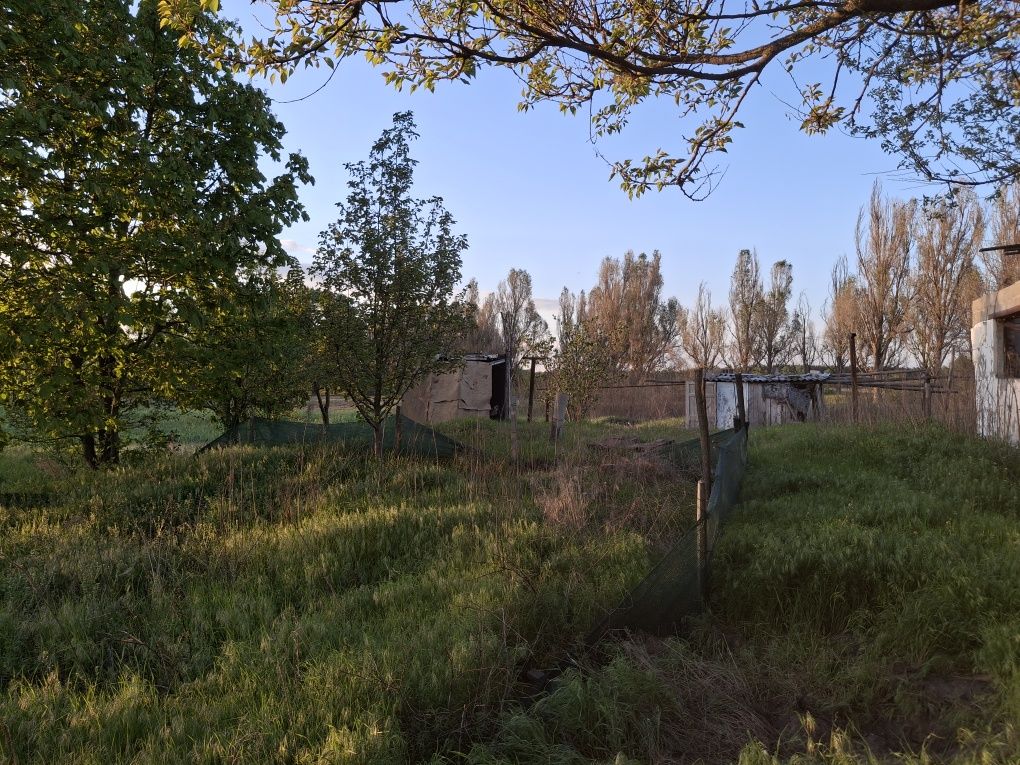 Продам дом под постройку