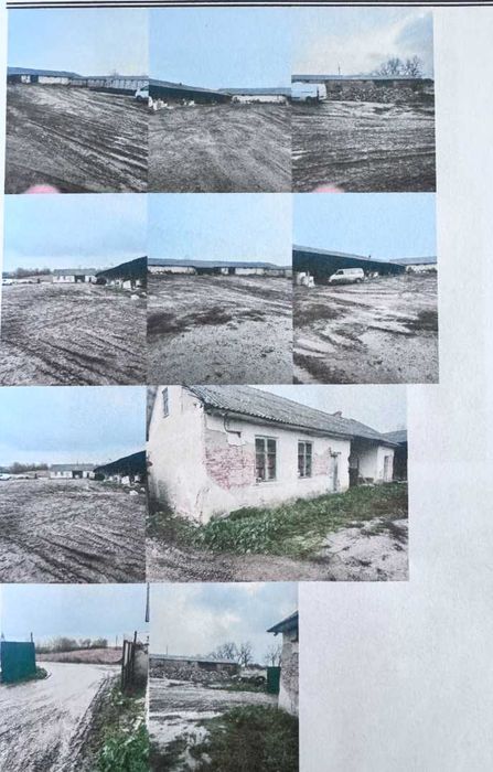 Комплекс будівель 2586,4 м2, Кривеньке, вул. Центральна, 92