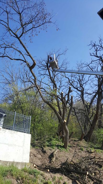 Podnośnik koszowy na gąsienicach, wynajem podnośnika, alpiniści