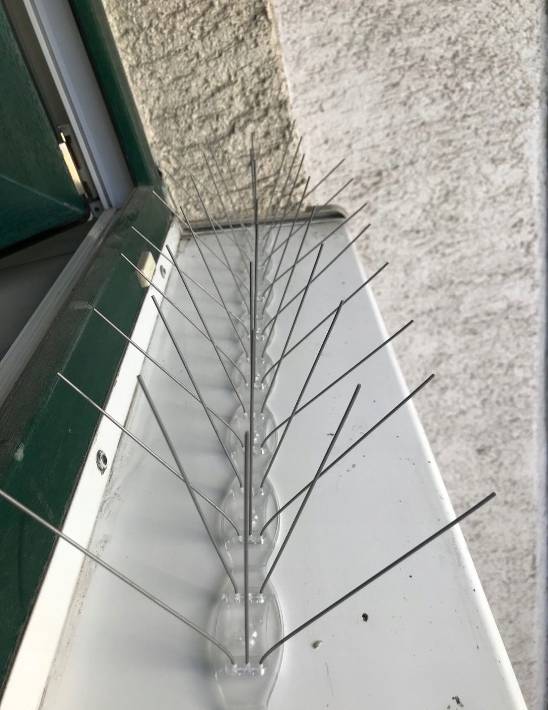 Kolce na ptaki gołębie odstraszające nierdzewne 50CM 20 kolców