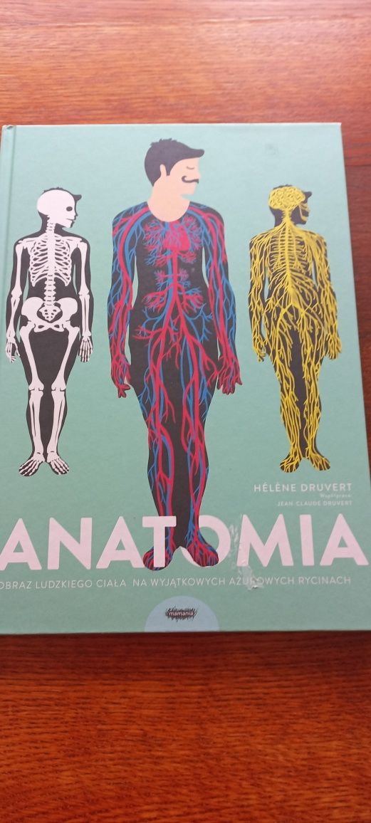 Anatomia piękny album dla dzieci
