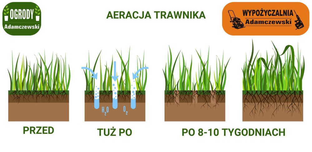 Areator tłokowy rurkowy tłoczkowy weibang wertykulator wynajem