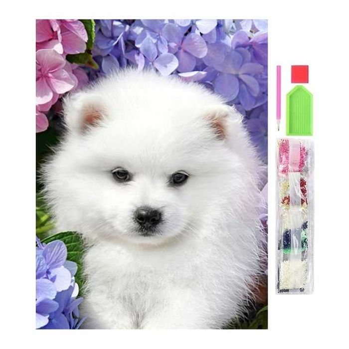 Haft diamentowy 5D 30x40cm mozaika zestaw Szpic piesek koraliki obraz