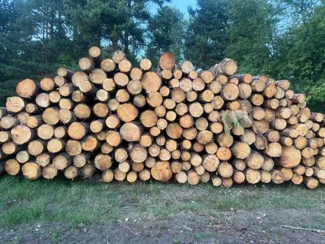 Drzewo - olcha, brzoza, sosna - opał, kłoda, tartak - od 120zł/mp