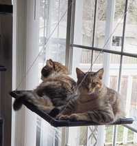 Hamak legowisko dla kota na okno 294