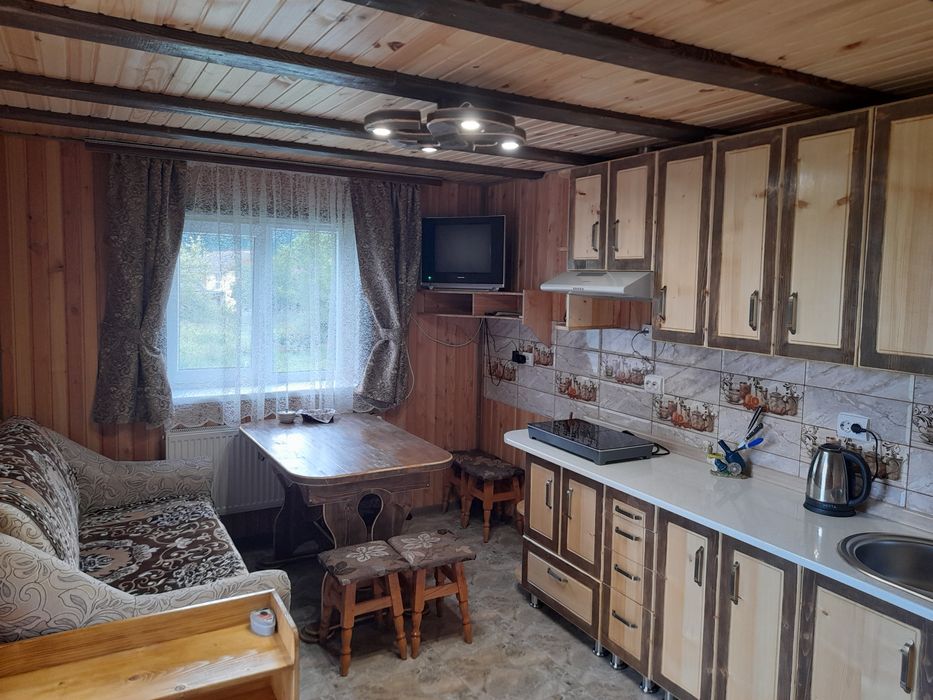 Оренда котеджу неподалік лісу та гір в Карпатах