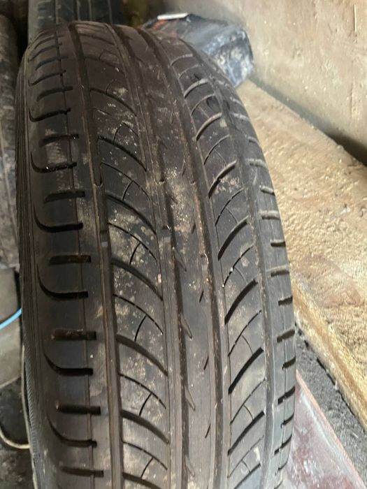 Тітани на літній різіні