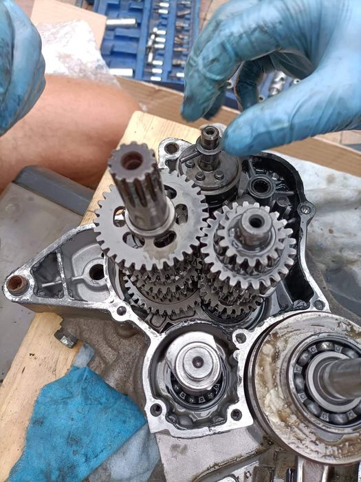 Beta 50RR factory