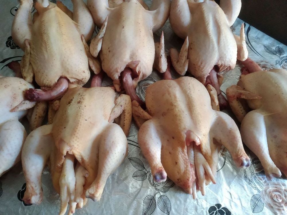 Продаю мясо курей домашнего бройлера выращенного в домашних условиях.