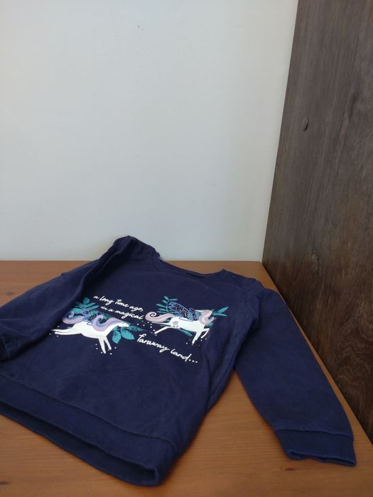 Bluza z jednorożcami
