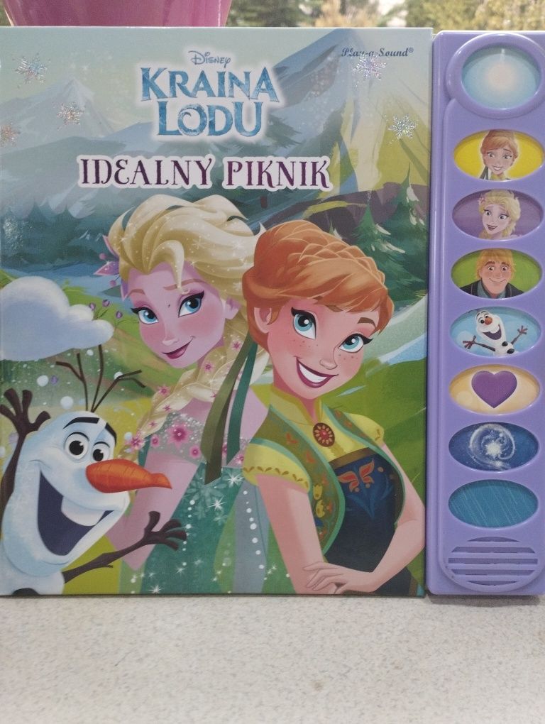 Kraina Lodu  Idealny Piknik