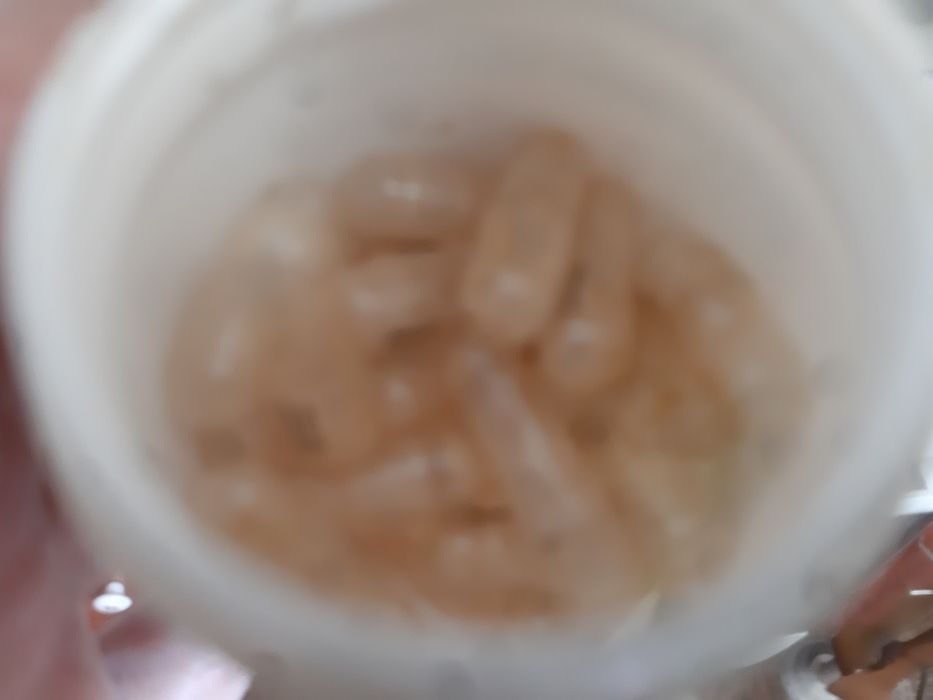 Пустые капсулы (от бадов)