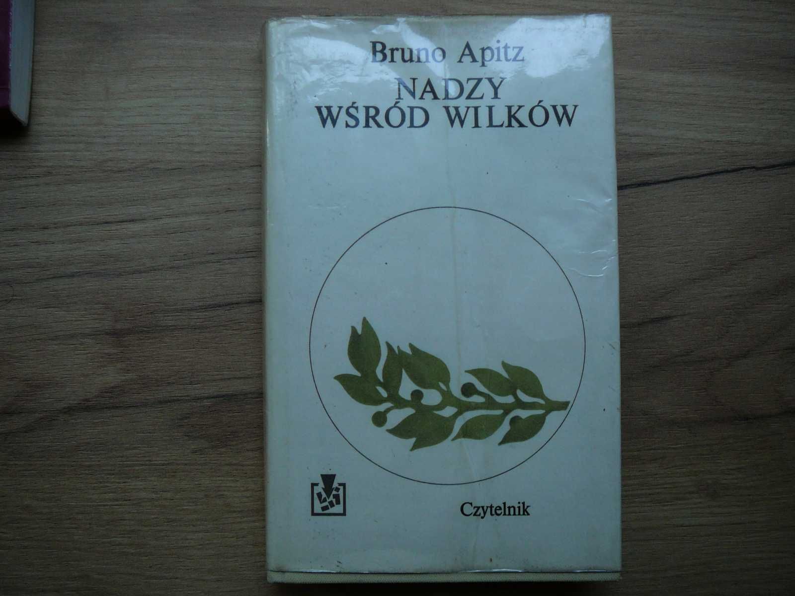 Bruno Apitz ,,Nadzy wśród wilków''