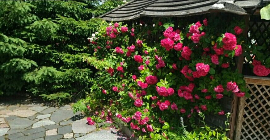 Продаж виробничого приміщення