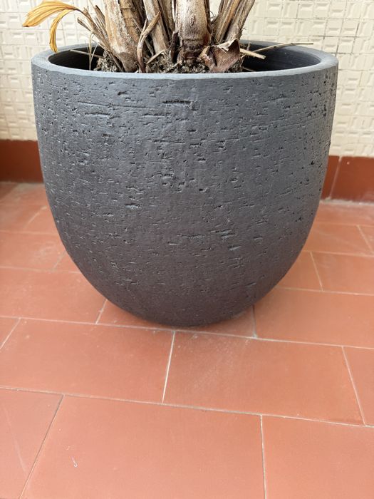 Vaso para planta