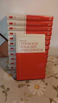 Słownik PWN. 12 tomów.