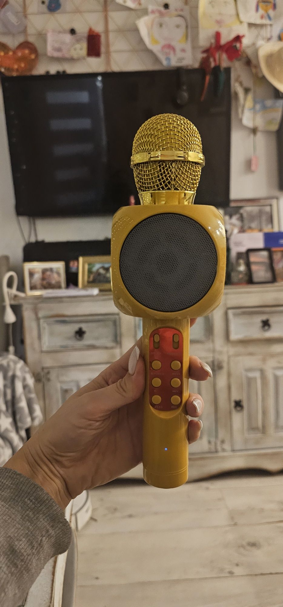 Mikrofon karaoke